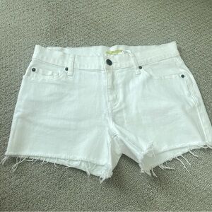 Gianni Bini Lexi Shorts